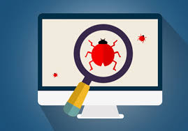 Software Vulnerabilities